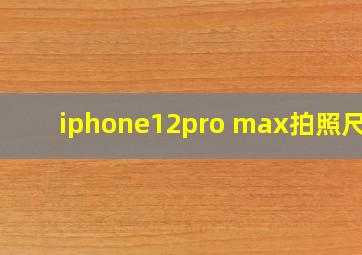 iphone12pro max拍照尺寸